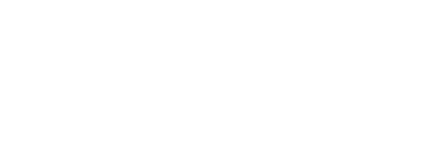 Executive Life Solutions Logo